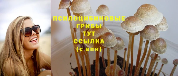 мяу мяу кристалл Покачи