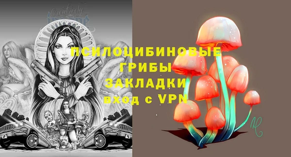 дживик Заводоуковск