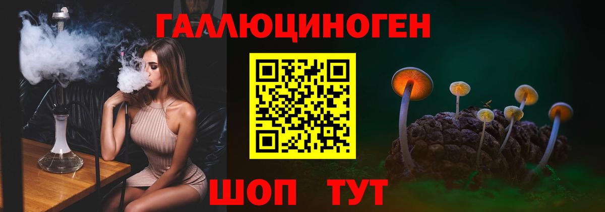 Соль-Илецк  Псилоцибиновые грибы GOLDEN TEACHER  как найти наркотики  Вход с VPN  Псилоцибиновые грибы Cubensis 